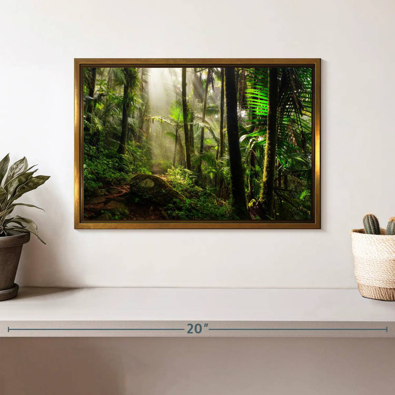Forêt nationale d'El Yunque, Cadre flottant doré, 13 po x 9 po