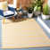 Alitsia Performance Striped Indoor/Outdoor Area Rug