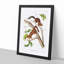 Soft-Haired Squirrels by J.W. Audubon - Picture Frame Painting Print-55725814-55725819