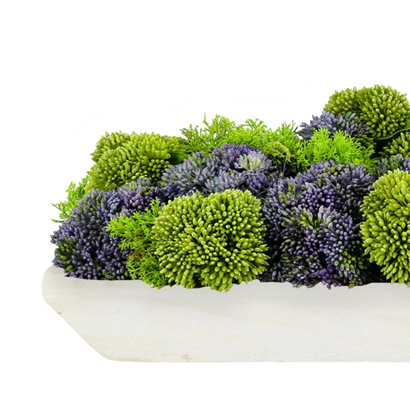 Arrangement floral succulent dans un pot à fleurs, Mauve / Vert