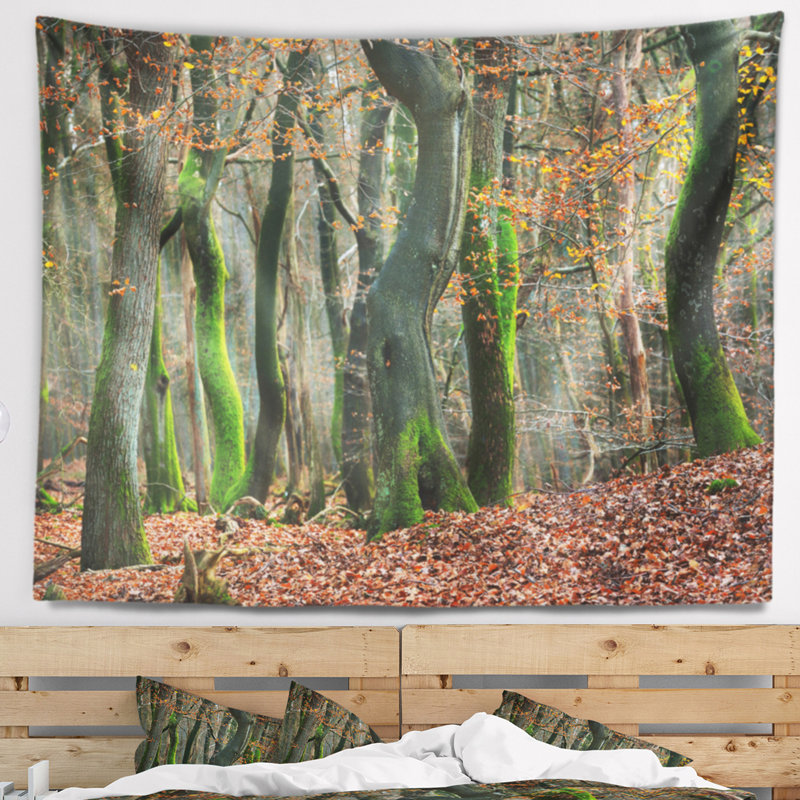 Paysage, forêt d'automne aux Pays-Bas, H 32 po x l 39 po