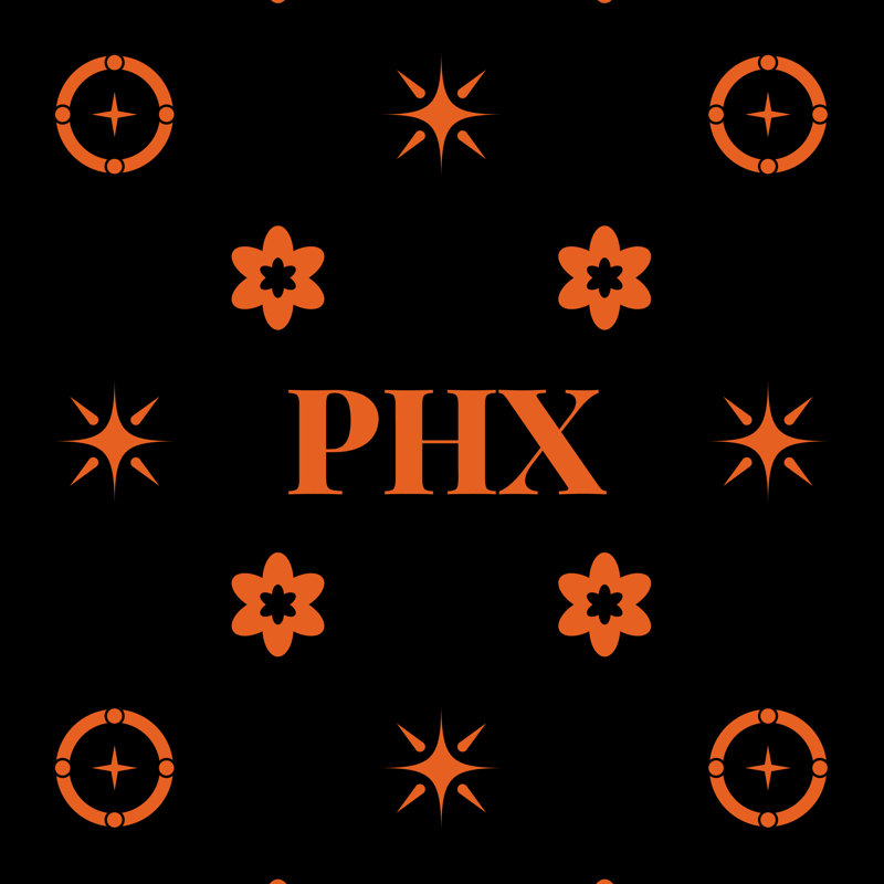 Coussin en coton Phoenix, Coussin intérieur / extérieur soufflé et fermé, 16 pouces x 16 pouces, Phoenix orange / noir