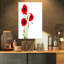 «Isolé rouge coquelicot», impression-33311241-19412747