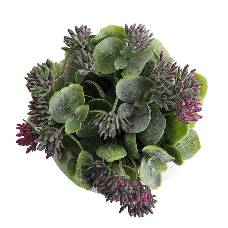 Plante grasse artificielle 5,25 po en pot