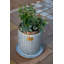 Channing Tray Saucer-58682526