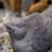 Grossmann Animals Figurines & Sculptures