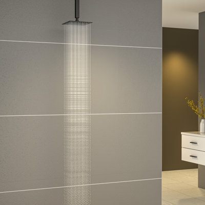Rain Rain Shower Head 1.8 GPM GPM