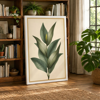 Study Botanical - Wrapped Canvas