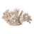 Sculpture Polyresin Coral Reef Textured Design Decorative Accent For Home Office Bedroom Living Room Display - 8" Ivory