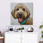 Crowend Goldendoodle Olivia-111886897