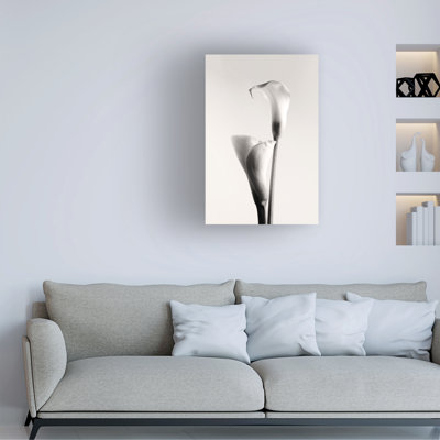 Calin Hanchevici  Calla Canvas Art