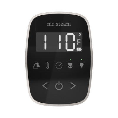 ButlerTouch Steam Shower Control Package with TempoTouch Control and Linear Steamhead 