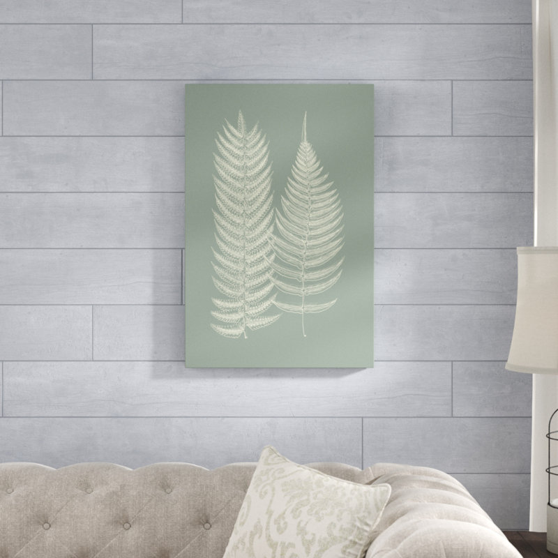Ferns On Sage IX by Vision Studio - Painting, 30cm H x 20cm W, Wrapped Canvas