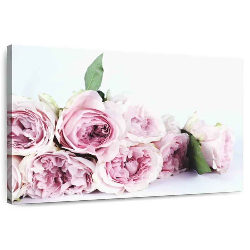 Harnek, couches de pivoines roses, H 16 po x l 24 po