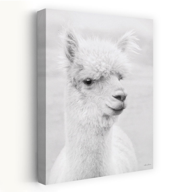 Alpie, l'alpaga, art animalier contemporain, H 24 po x l 16 po