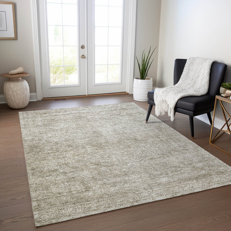 Machine Washable Indoor/Outdoor Cicel ACN1172 Rug