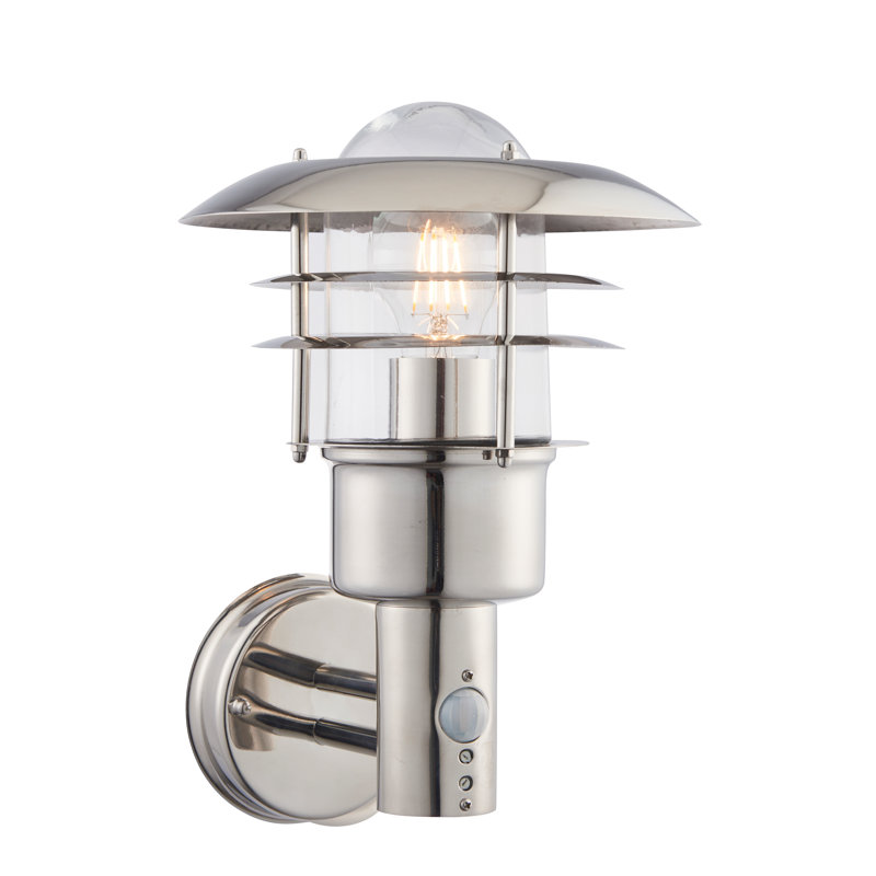 Elena 30cm H Outdoor Wall Lantern