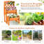 Lit de jardin surélevé en bois avec treillis Modrok