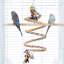 72cm Play Top Table Top Bird Cage with Perch-497473251