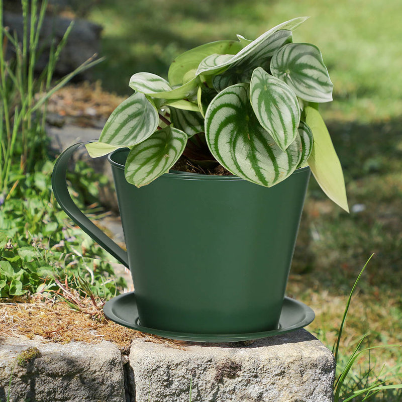 Soriano Metal Plant Pot, Green