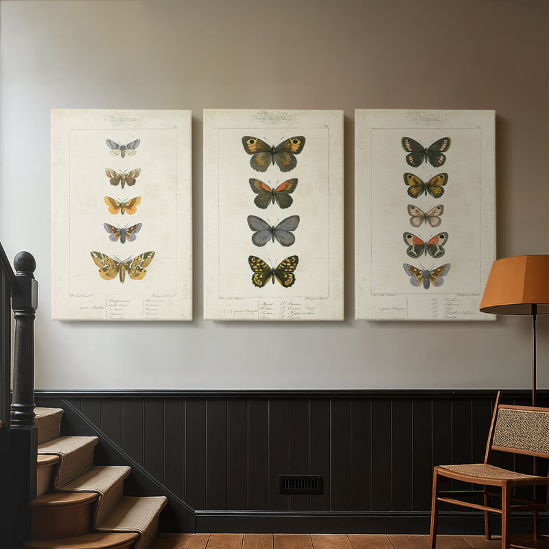 Papillons paupières IV - toile tendue sur mesure - 3 pièces, H 48 po x l 96 po