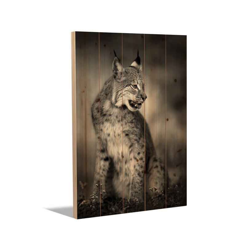 Impression sur bois en bois - Unique par Fegari