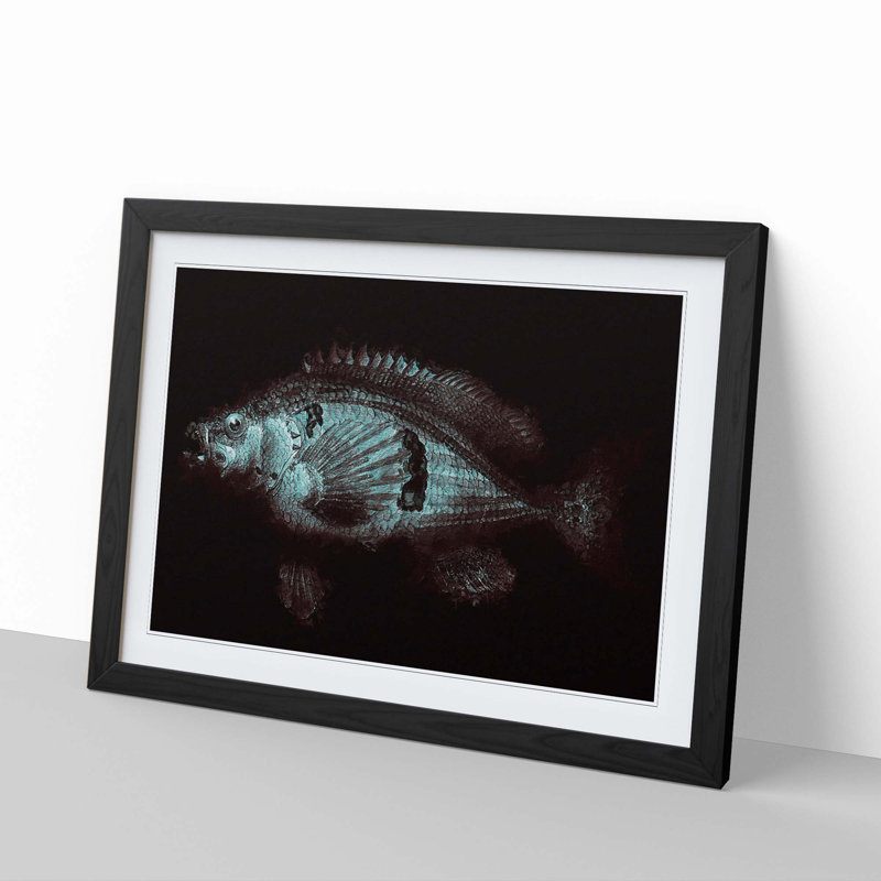 A Blue Fish - Framed Print, 33cm H x 45cm W x 2cm D, Black Framed
