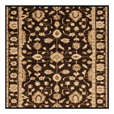 Machine Washable Overdyed Brown Area Rug