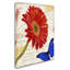 Jadaya «Gerbera Daisy» par Color Bakery, impression sur toile tendue-20096120