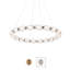 Seduction 20 Light Crystal LED Pendant-1127336605