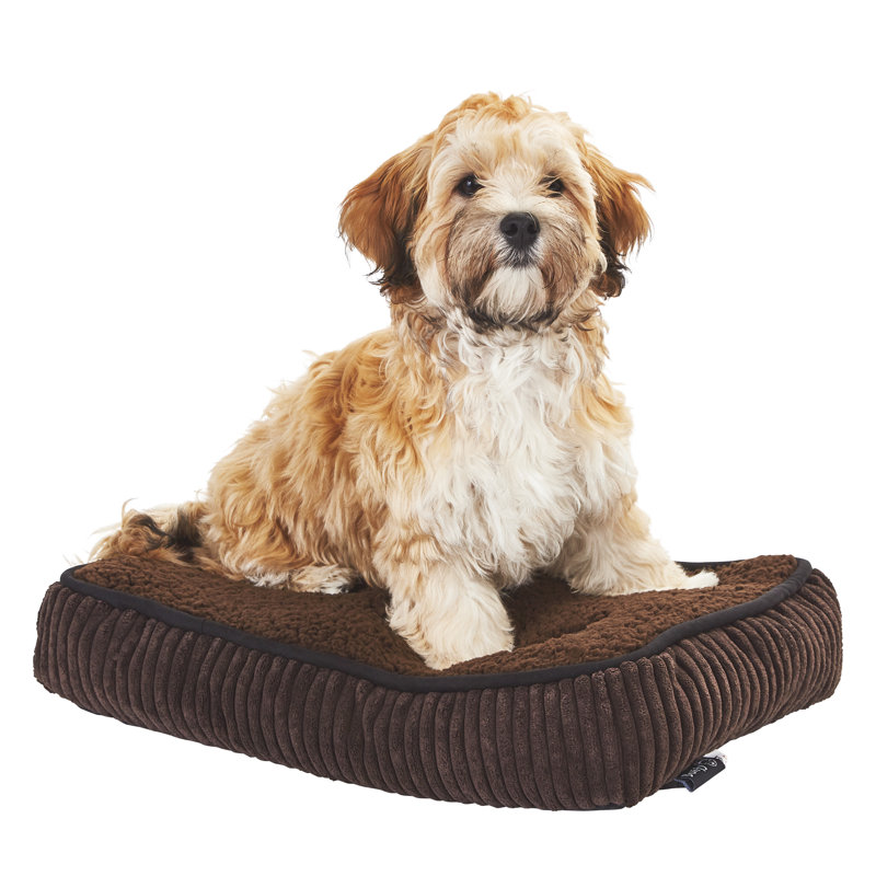 Arlot Polyester Pet Bed, 47 cm B x 31 cm T x 10 cm H