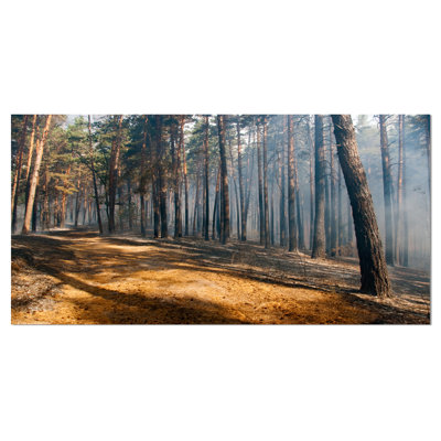 " Fire In Forest With Flame And Smoke "