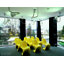 Pipe LED Suspension-97672596
