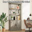 186.9cm H x 80cm W Bookcase-1786884573