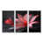 Silver Floater Framed Canvas