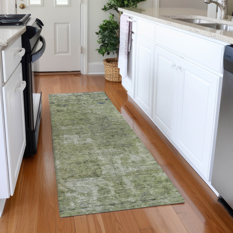 Machine Washable Indoor/Outdoor Claudian ACN1629 Aloe Rug