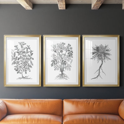 " B&W Plant Specimen I " 3 - Pieces