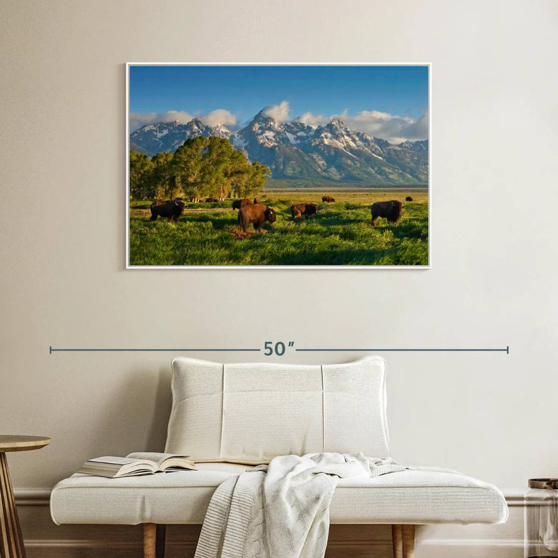 Bison de Grand Teton, Cadre flottant blanc, 40 po x 27 po