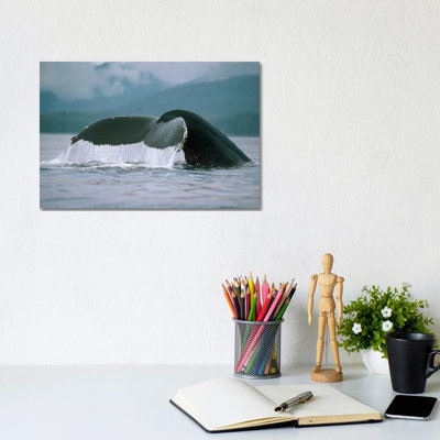 Humpback Whale Tail, Alaska by Flip Nicklin - Wrapped Canvas Print