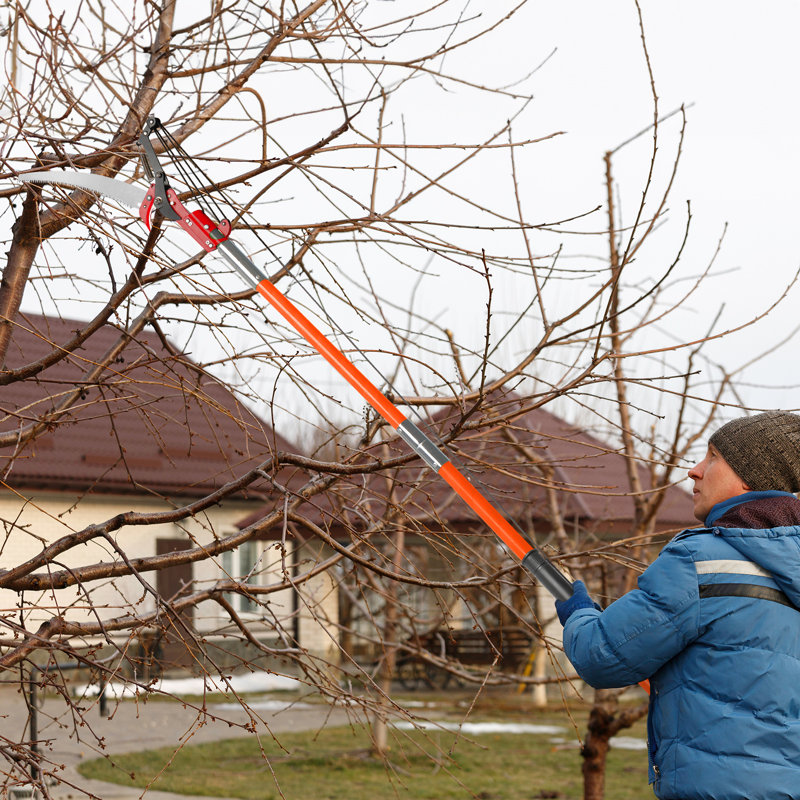 Light-Weight Manual Pole Saw Tree Trimmers Long Handle Pruner Set, Orange