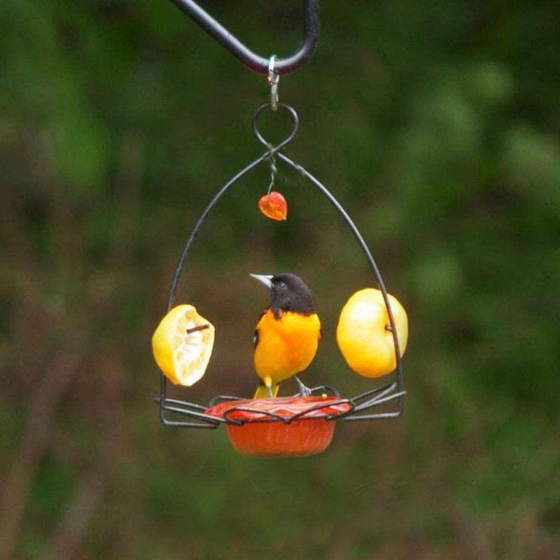 Orange and Black Polycarbonate Oriole Feeder with Heart Ornament