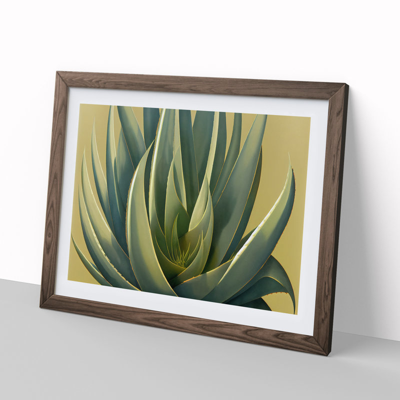 Lush Aloe Vera Plant - Single Picture Frame Print, 25cm H x 34cm W x 2cm D, Walnut
