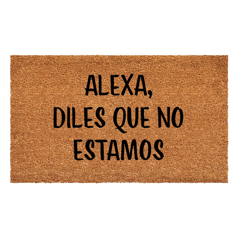 Alexa, diles que no estamos Doormat, 17" W x 29" L