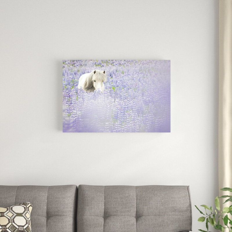 " Horse In Lavender II " by PHBurchett, 20" H x 30" W