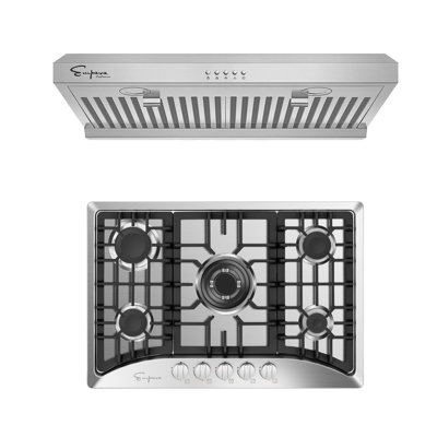 Empava 2 Piece Kitchen Appliance Package with 29.92'' Cooktop , and Under Cabinet Range Hood
