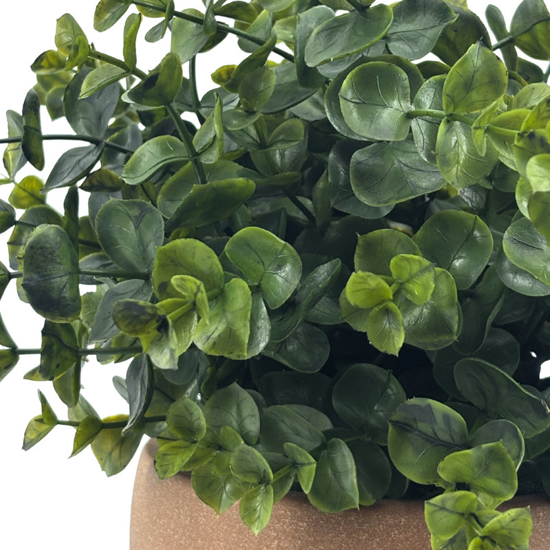 Faux bol eucalyptus en céramique terre cuite