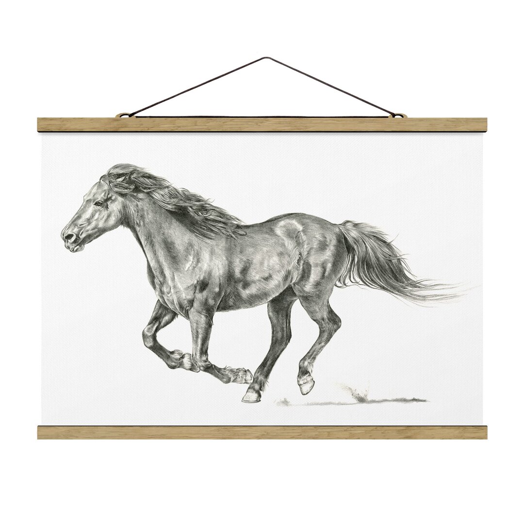 Grafikdruck Wild Horse Study - Mare