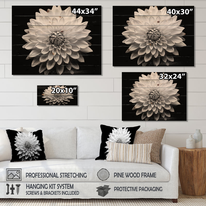 Dahlia In Monochrome Black And White - Dahlia Wood Wall Art On Natural Pine Wood, 30" H x 40" W