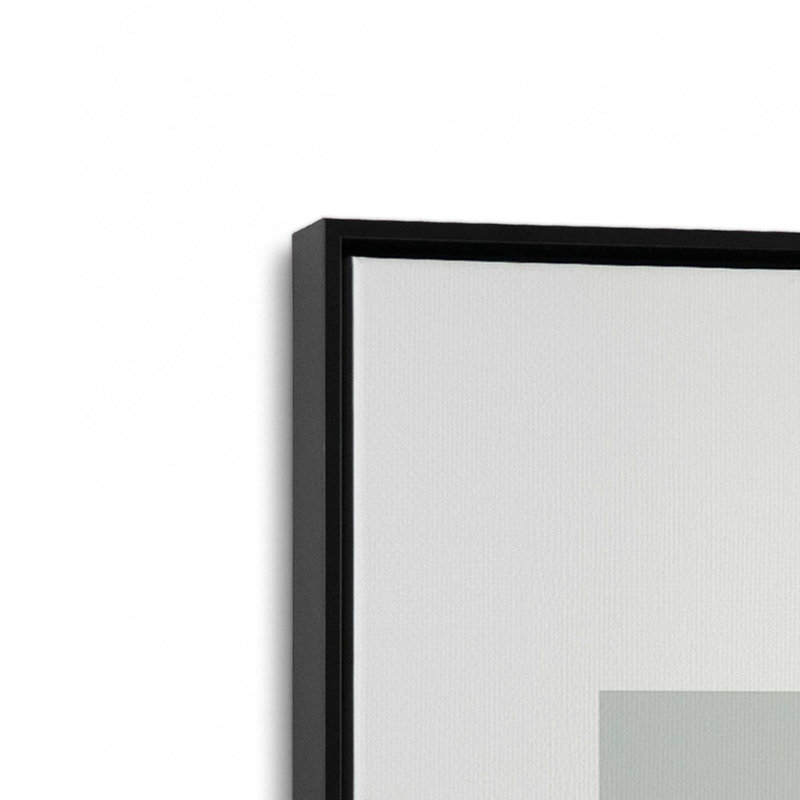 Charme de flocon de neige nordique, H 18,75 po x l 12,75 po, Impression encadrée sans passe-partout, Noir satiné