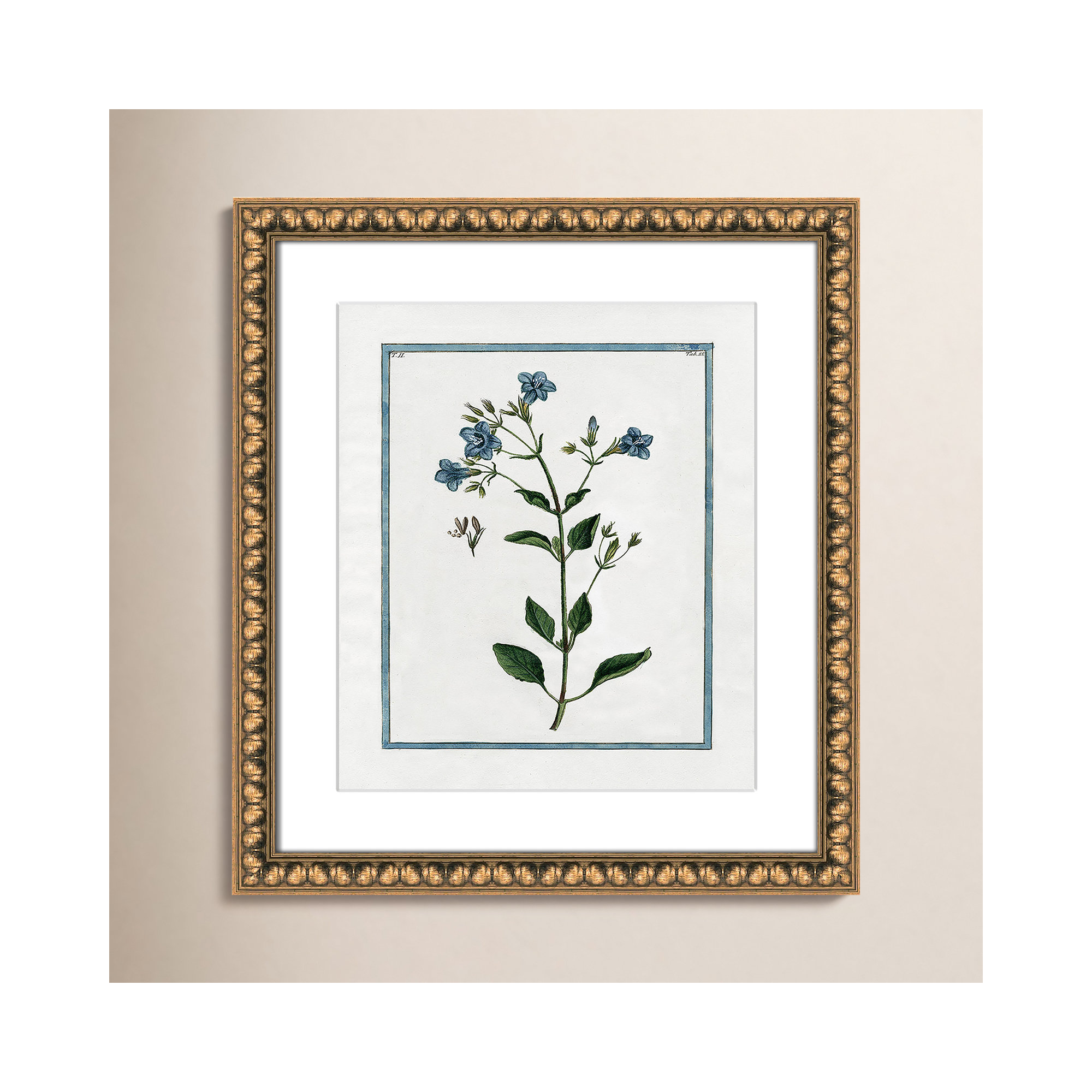Shabby Elegance Botanical II - Framed Art, Gold Bead Framed, 14" W x 16" H